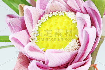泰国风格莲花的特写