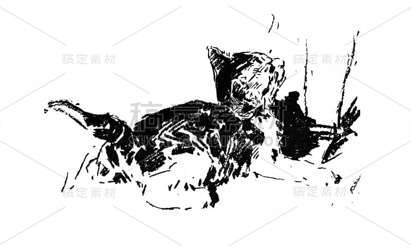 近距离观察街上的猫。古比尔的《现代艺术家》一书中的一页，1881年，巴黎