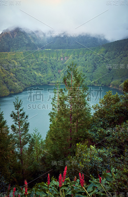 火山坑中被茂密森林包围的湖。亚速尔群岛。