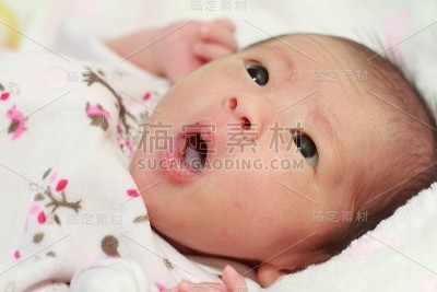 新生婴儿(日本女婴)