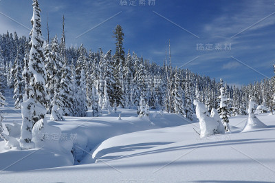 美丽的雪