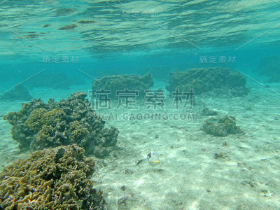 浮潜在关岛