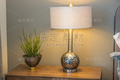 现代卧室床头柜上的灯和植物