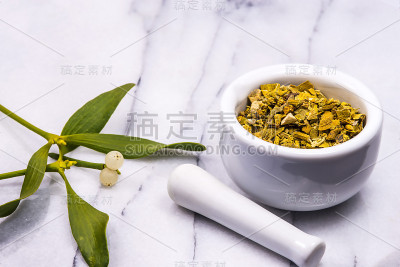 槲寄生，一种草药，用灰泥干燥和新鲜的叶子