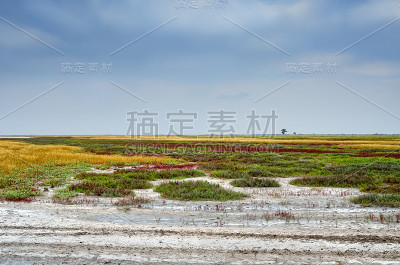 广阔的草原映衬着多云的天空