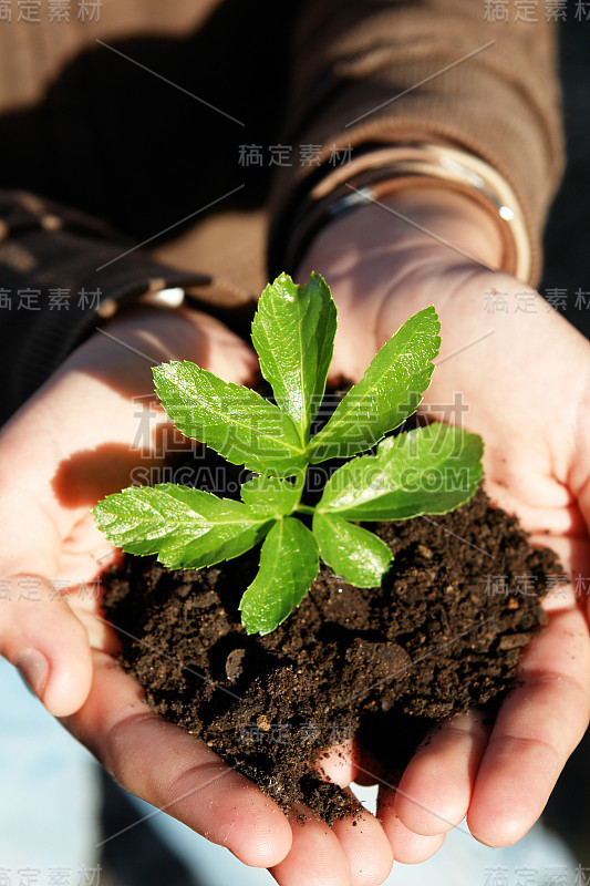 把植物放在孩子手上