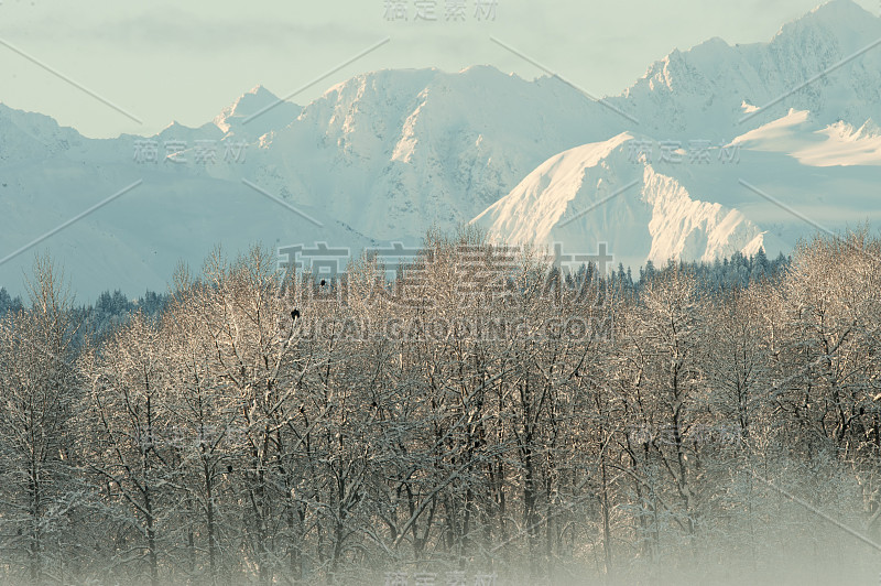 雪覆盖下的奇尔卡特山谷