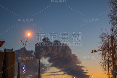 树木与恶劣环境