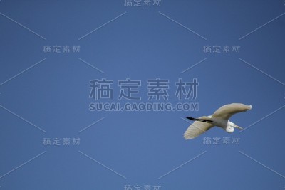 无缝的飞行