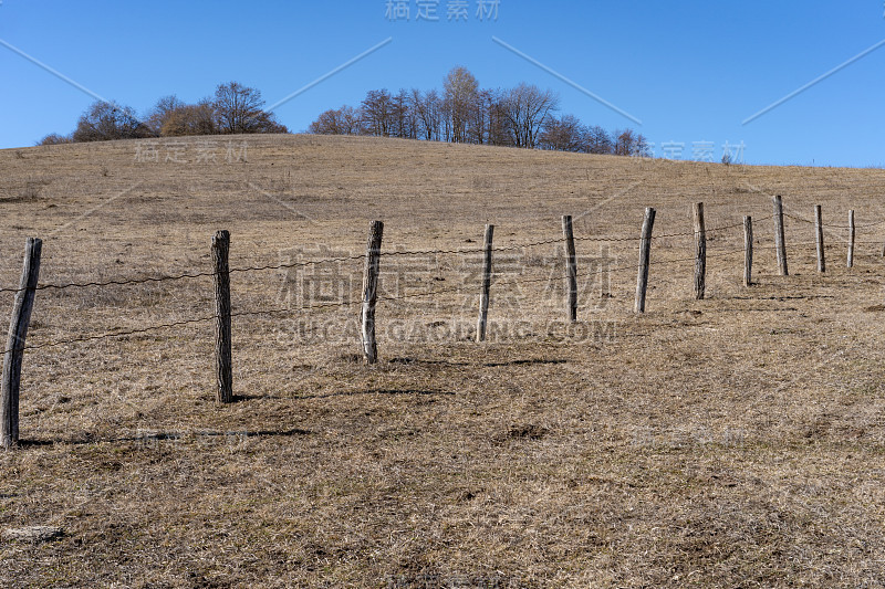 篱笆从树干在田野