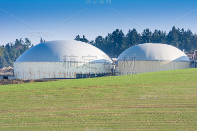 生物技术替代能源
