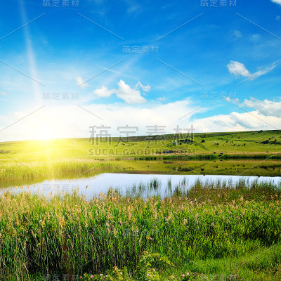 长满芦苇的风景如画的湖。蓝天上灿烂的日出。