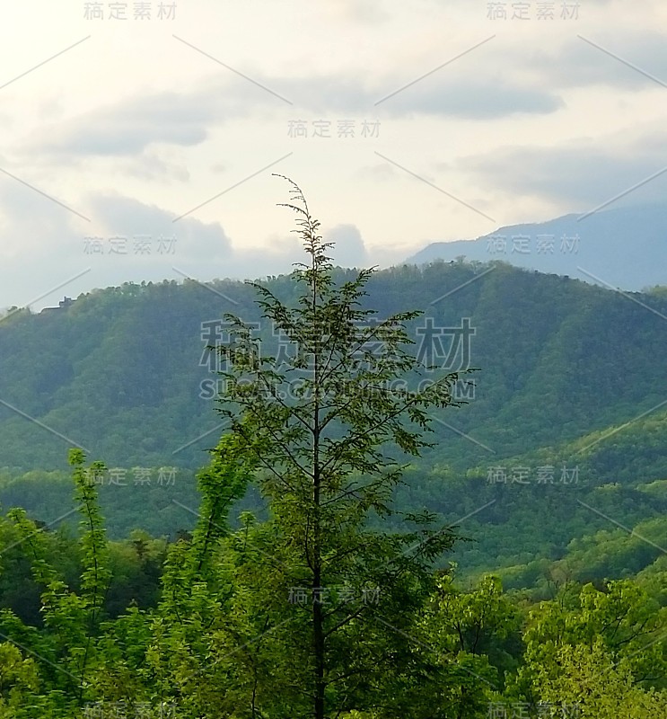 烟雾缭绕的山景