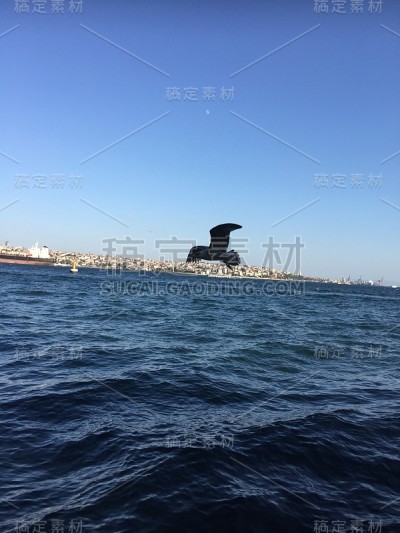 伊斯坦布尔景观咽喉运河海鸟景观全景视觉
