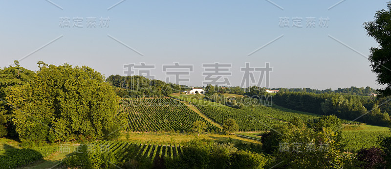 葡萄园景观-法国西南部的葡萄园，波尔多葡萄园