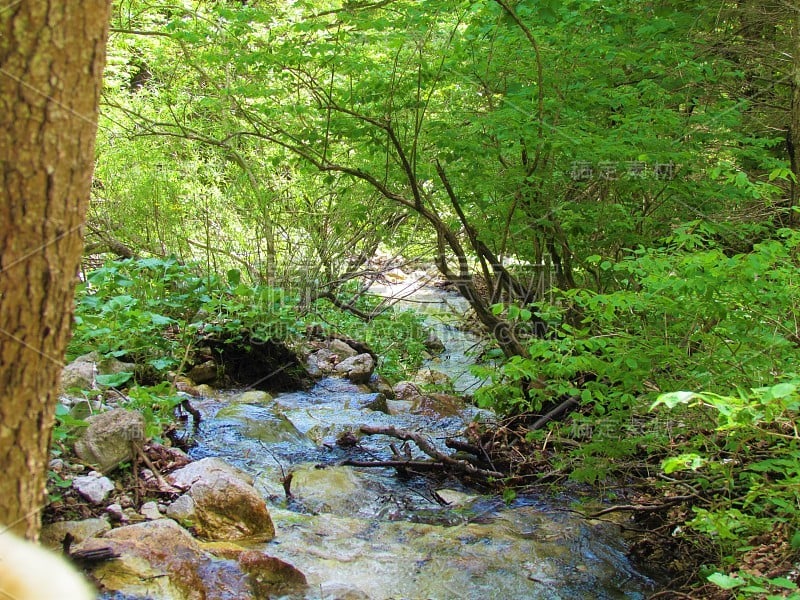 高山流水