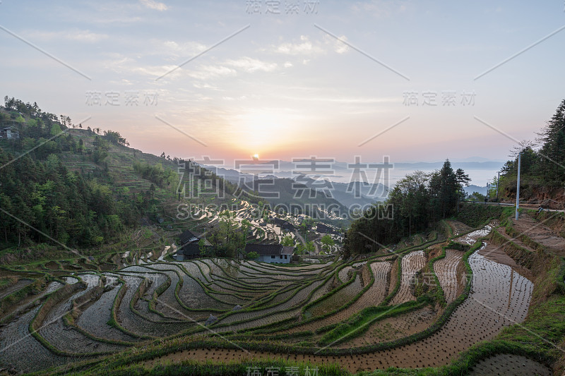 紫喜鹊梯田是中国风景区、自然文化遗产、水利风景区。