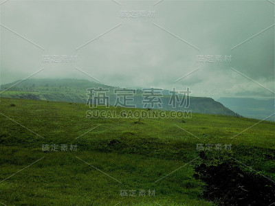 山上的绿草地