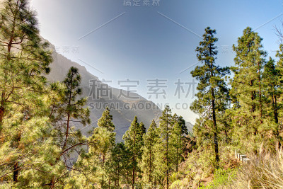 阿盖特峡谷，克兰加那利，西班牙