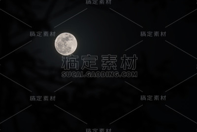 夜晚的满月