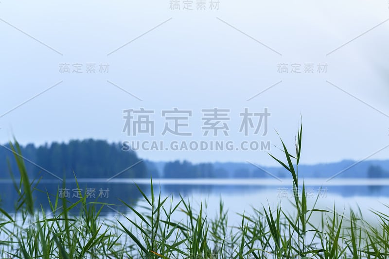 水面无浪，有芦苇