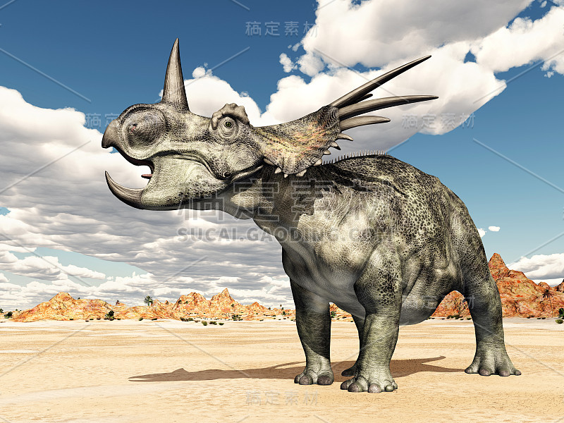 恐龙Styracosaurus