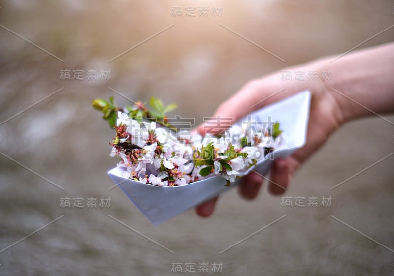 自然的春天花香背景。散焦盛开的白花在一只纸船上，在一个模糊的背景上