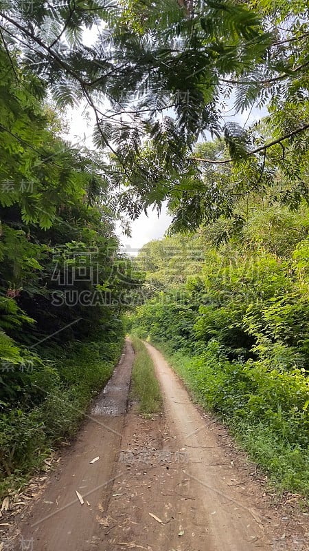 一条通往小山的美丽小路