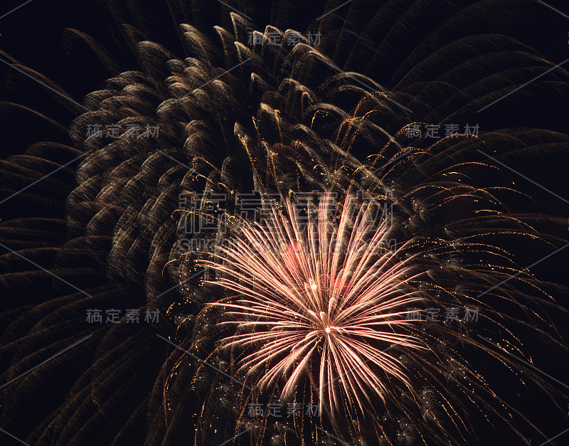 美丽的烟花在夜空中。