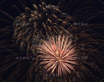 美丽的烟花在夜空中。