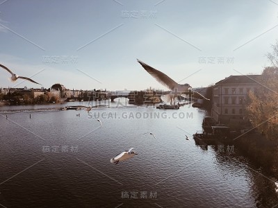 布拉格