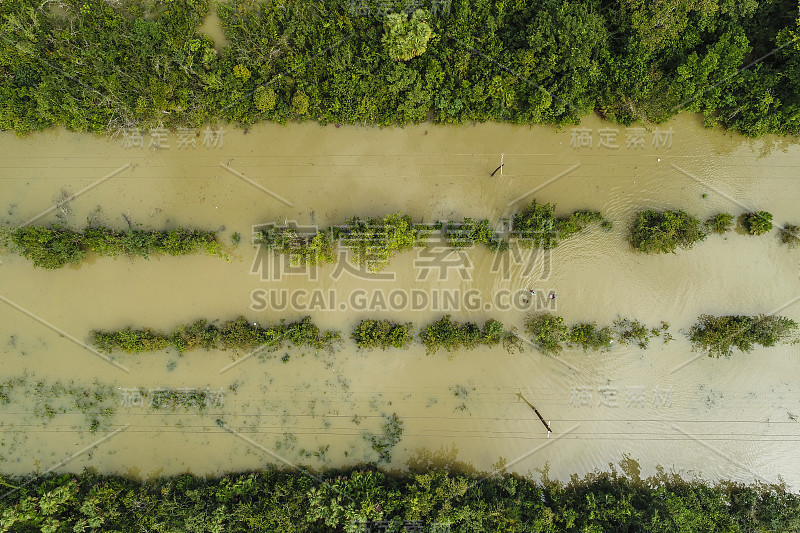 中美洲被淹的道路