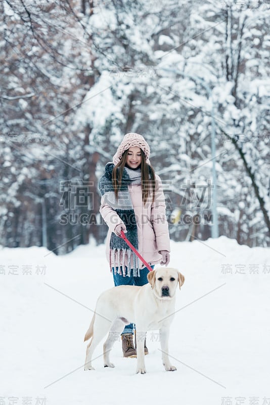 一个年轻女人和一只拉布拉多狗在冬季公园