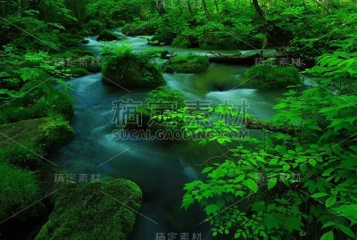 青森鲜绿的江濑山溪