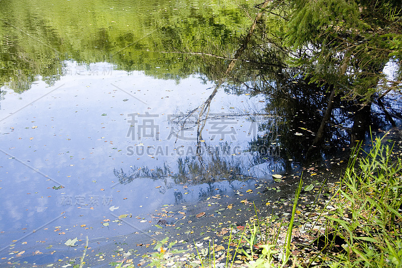 夏天室外场景