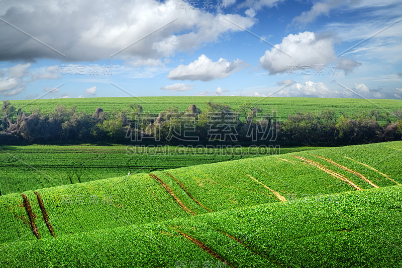 风景如画，绿树成荫