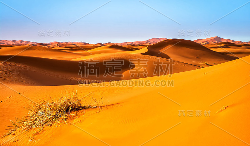 撒哈拉沙漠中令人惊叹的沙丘景观。地点:撒哈拉沙漠，Merzouga，摩洛哥。艺术照片。美丽的世界。