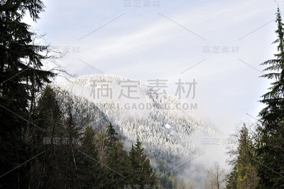 雾笼罩着雪山