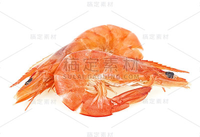 两只刚煮熟的王虾，孤立地放在白色的背景上