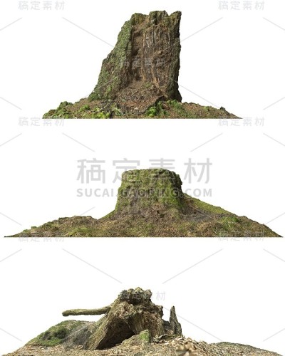 树桩死树孤立的白色3d插图