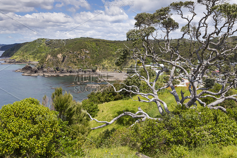 风景来自拉塞尔附近的Paihia，群岛湾，新西兰