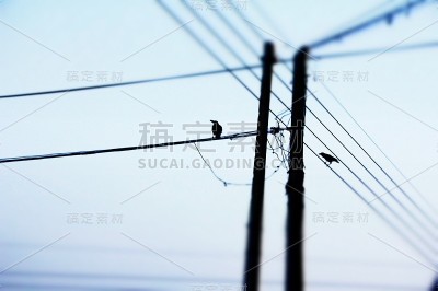 电线和城市生活