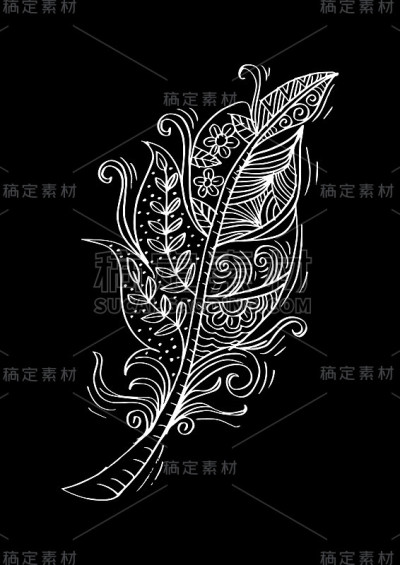 羽毛鸟手绘插图。