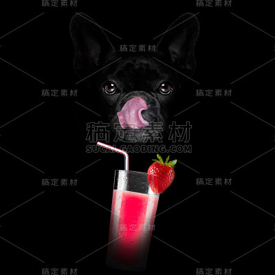 奶昔奶昔鸡尾酒狗