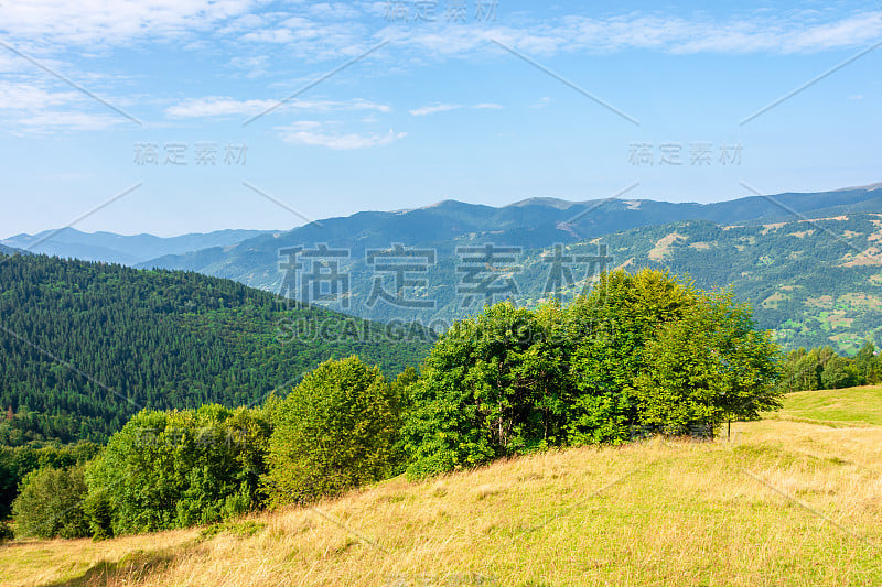 阳光明媚的夏季山地景观