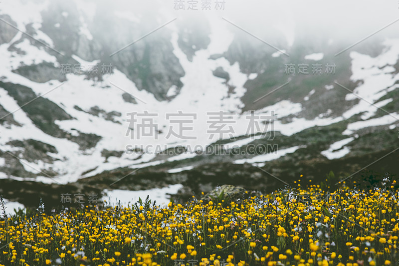 春色景观黄花山色景观旅游背景野生自然宁静风景景观