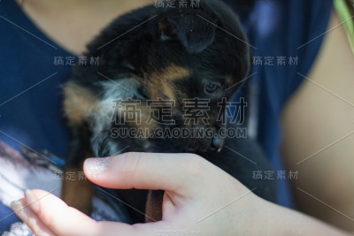 抱着可爱的小狗