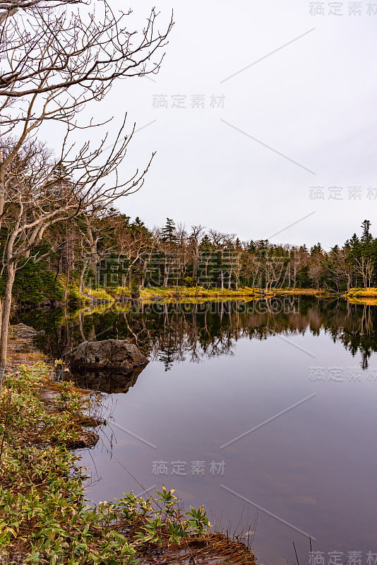 知床二湖五湖区。Nnatural美丽风景。知床国家公园