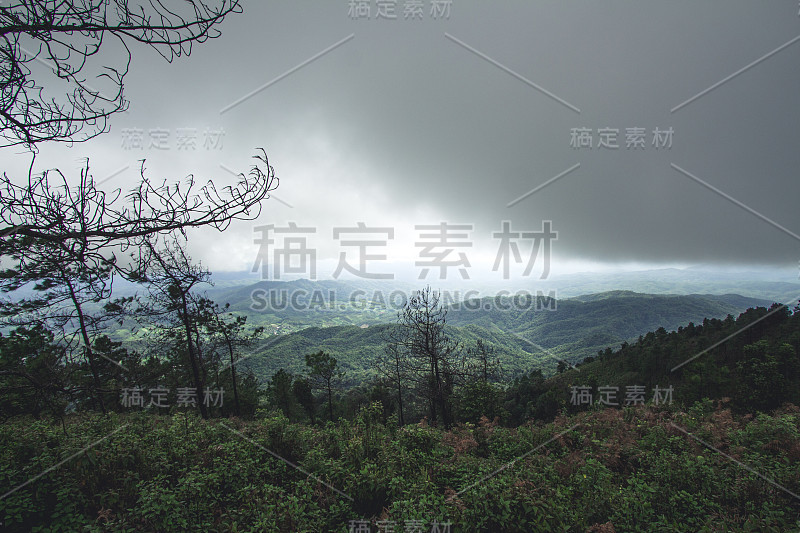 自然旅游森林雨天