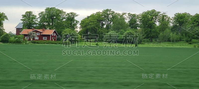 瑞典田野里的夏日美景